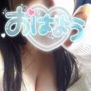 ヒメ日記 2026/02/13 08:27 投稿 あんず 丸妻 横浜本店