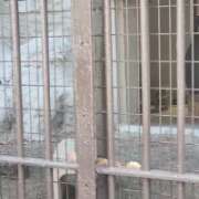 ヒメ日記 2026/03/06 12:22 投稿 あんず 丸妻 横浜本店