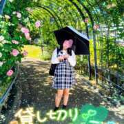 ヒメ日記 2026/05/11 20:37 投稿 あんず 丸妻 横浜本店