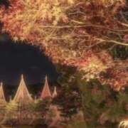 ヒメ日記 2024/12/24 19:28 投稿 ありさ 熟女家 堺東店