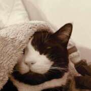 ヒメ日記 2025/02/24 23:45 投稿 らむ 北九州人妻倶楽部（三十路、四十路、五十路）