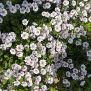 ヒメ日記 2025/05/27 16:28 投稿 らむ 北九州人妻倶楽部（三十路、四十路、五十路）