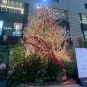 ヒメ日記 2025/12/26 08:33 投稿 らむ 北九州人妻倶楽部（三十路、四十路、五十路）