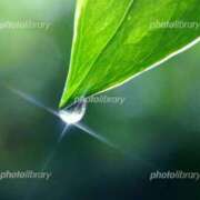 ヒメ日記 2026/02/11 11:33 投稿 らむ 北九州人妻倶楽部（三十路、四十路、五十路）