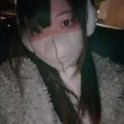 ヒメ日記 2025/11/15 19:34 投稿 ありさ 君を舐めたくて学園