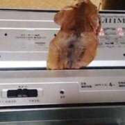 ヒメ日記 2025/05/25 12:45 投稿 みおり 脱がされたい人妻 熊谷店