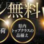 ヒメ日記 2024/03/01 23:00 投稿 かほ S級鑑定団