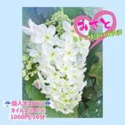 ヒメ日記 2025/05/30 13:56 投稿 みさと ありのままの所沢妻