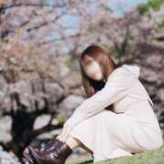 ヒメ日記 2025/03/18 07:02 投稿 天使の微笑み『りと』 ESSENCE