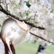 ヒメ日記 2025/04/05 22:28 投稿 天使の微笑み『りと』 ESSENCE