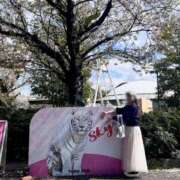 ヒメ日記 2025/04/15 19:37 投稿 天使の微笑み『りと』 ESSENCE