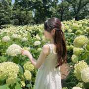 ヒメ日記 2025/07/06 07:10 投稿 天使の微笑み『りと』 ESSENCE