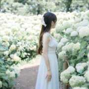 ヒメ日記 2025/07/11 14:17 投稿 天使の微笑み『りと』 ESSENCE