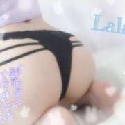 ヒメ日記 2025/09/16 02:26 投稿 らら ギャルズネットワーク神戸