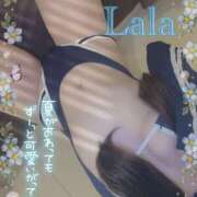 ヒメ日記 2025/09/24 23:56 投稿 らら ギャルズネットワーク神戸