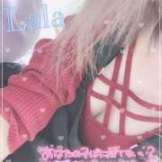 ヒメ日記 2025/11/26 00:57 投稿 らら ギャルズネットワーク神戸