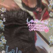 ヒメ日記 2025/10/12 19:36 投稿 らら クラブバレンタイン神戸西店