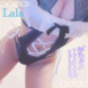 ヒメ日記 2026/01/27 02:28 投稿 らら クラブバレンタイン神戸西店