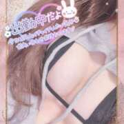 ヒメ日記 2026/01/31 19:46 投稿 らら クラブバレンタイン神戸西店