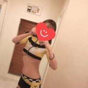 ヒメ日記 2025/11/26 08:47 投稿 ふうか ハッピーブリッジ