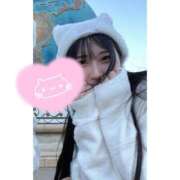 ヒメ日記 2024/12/20 09:30 投稿 みいな 池袋コスプレサンシャイン（シンデレラグループ）