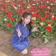 ヒメ日記 2025/04/20 10:24 投稿 べる マリン宮殿水戸店