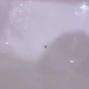 ヒメ日記 2025/06/24 15:34 投稿 べる マリン宮殿水戸店