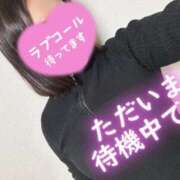 ヒメ日記 2024/12/26 22:39 投稿 せら 奥様なでしこ
