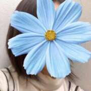 ヒメ日記 2025/02/15 14:53 投稿 さやか 胡蝶蘭