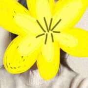 ヒメ日記 2025/02/28 14:38 投稿 さやか 胡蝶蘭