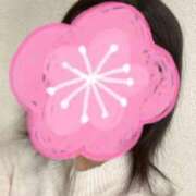 ヒメ日記 2025/02/28 22:20 投稿 さやか 胡蝶蘭