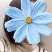 ヒメ日記 2025/03/14 20:42 投稿 さやか 胡蝶蘭