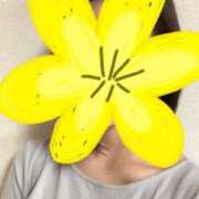 ヒメ日記 2025/04/19 14:54 投稿 さやか 胡蝶蘭