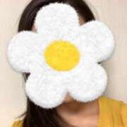 ヒメ日記 2025/05/02 14:09 投稿 さやか 胡蝶蘭