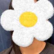 ヒメ日記 2025/05/16 22:50 投稿 さやか 胡蝶蘭