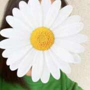 ヒメ日記 2025/05/17 15:04 投稿 さやか 胡蝶蘭