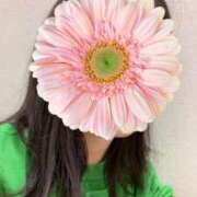 ヒメ日記 2025/05/31 20:39 投稿 さやか 胡蝶蘭