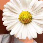 ヒメ日記 2025/06/21 13:01 投稿 さやか 胡蝶蘭