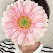 ヒメ日記 2025/08/09 14:46 投稿 さやか 胡蝶蘭