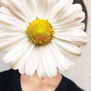 ヒメ日記 2025/10/10 13:32 投稿 さやか 胡蝶蘭