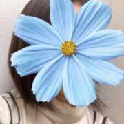 さやか こんばんは 胡蝶蘭