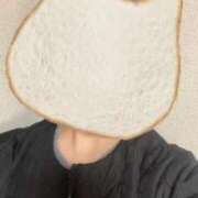 さやか こんにちは 胡蝶蘭