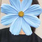 ヒメ日記 2025/12/20 18:41 投稿 さやか 胡蝶蘭