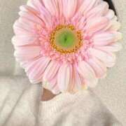 ヒメ日記 2025/12/21 13:40 投稿 さやか 胡蝶蘭