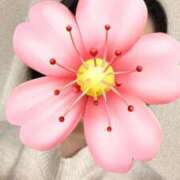 さやか こんにちは 胡蝶蘭