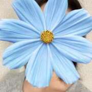 ヒメ日記 2026/01/18 13:46 投稿 さやか 胡蝶蘭