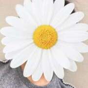 さやか こんばんは 胡蝶蘭