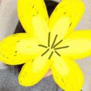 さやか こんばんは 胡蝶蘭