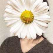 ヒメ日記 2026/03/20 13:38 投稿 さやか 胡蝶蘭