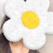 ヒメ日記 2026/03/20 22:46 投稿 さやか 胡蝶蘭